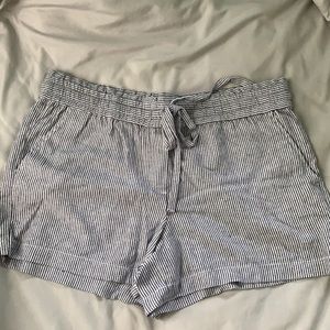 loft shorts